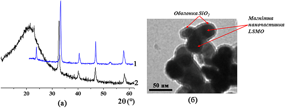 Результати РФА для наночастинок LSMO (1) та core/shell структур LSMO/SiO2 на їх основі (2) (а) та ТЕМ-зображення core/shell структур LSMO/SiO2.